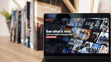 Netflix on Laptop