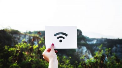 България интернет потребители