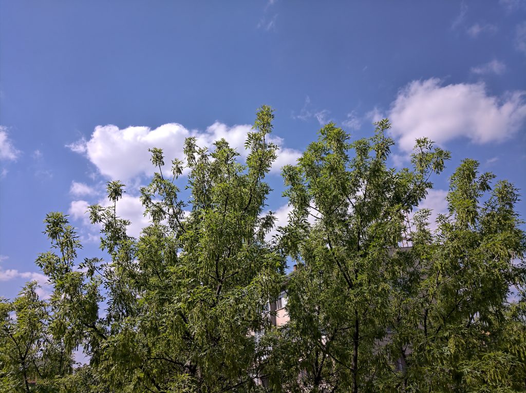 Nokia 9 Shots 3