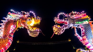 dragons-china