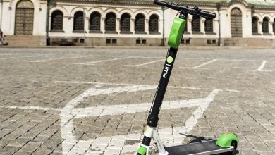 Lime-6