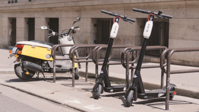 bird-scooter-1