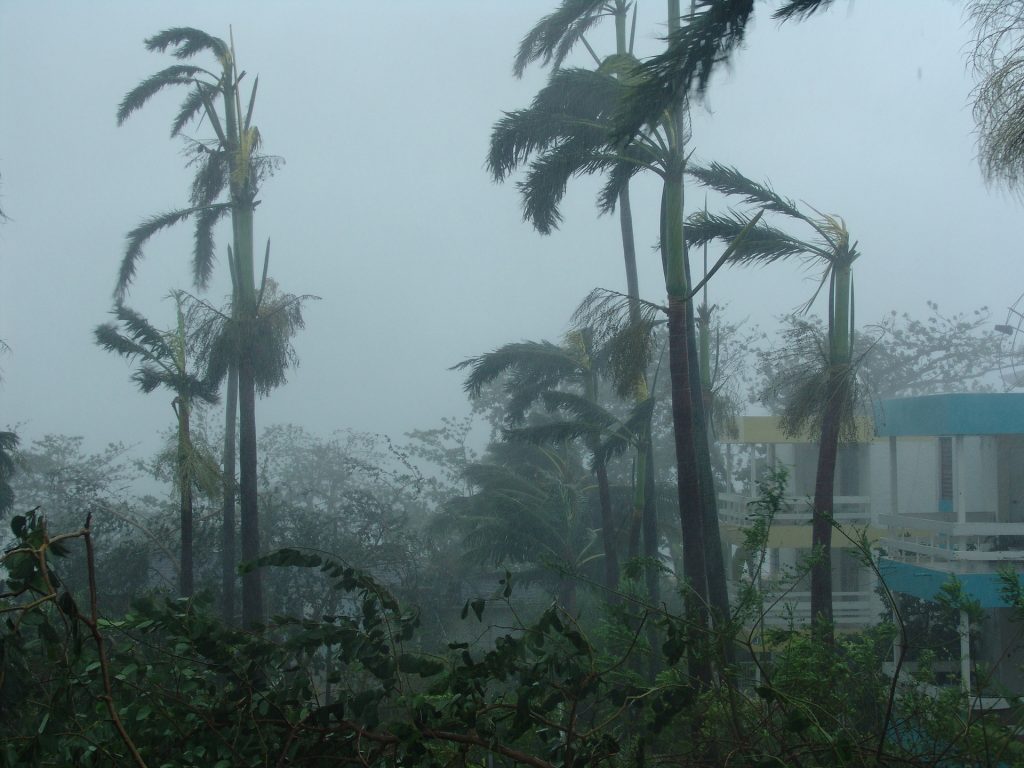 wind-hurricane