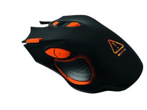 Canyon Mouse