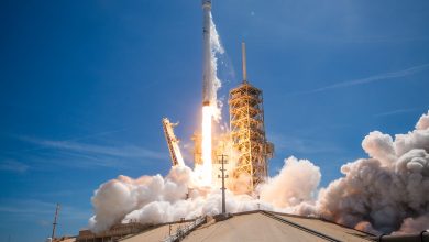 Bulgaria-Sat-SpaceX-3