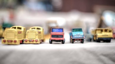 cars-gps-management