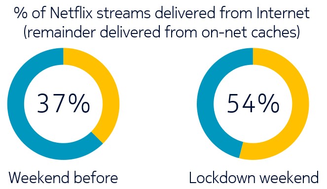 netflix_pie_chart