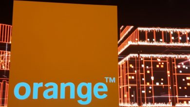 orange-scene