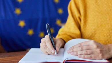 EU pen and flag