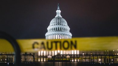 us-capitol-cation-night