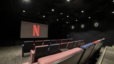 netflix-cinema