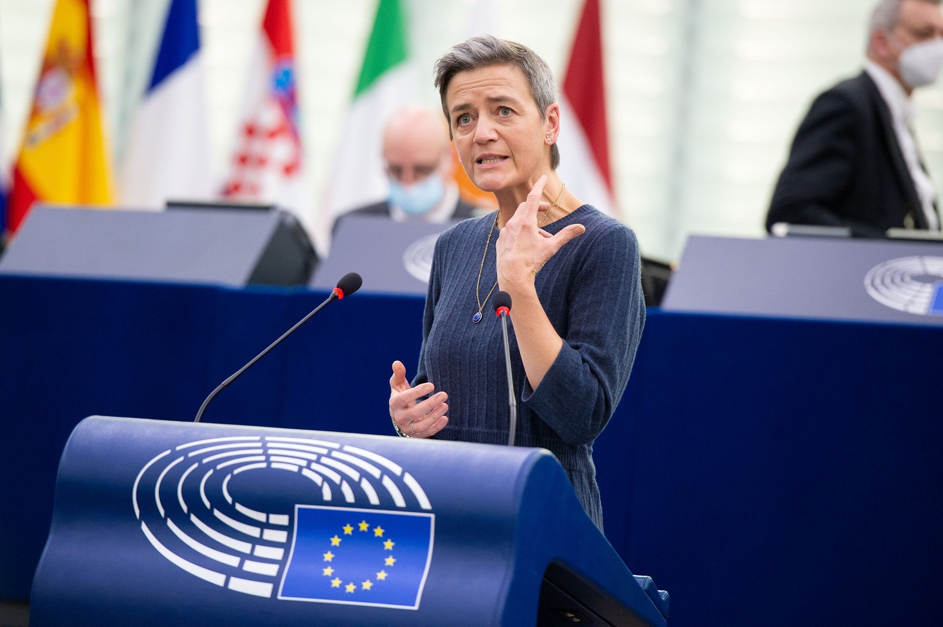 eu-parlament-dsa