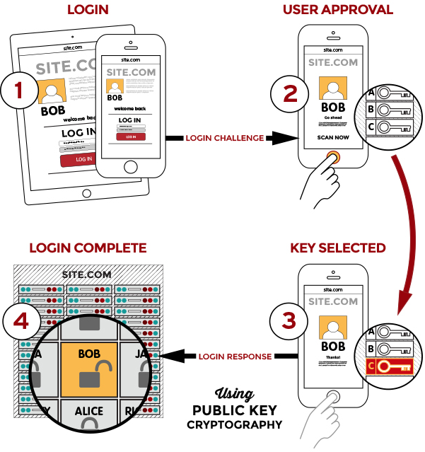 fido-how-works