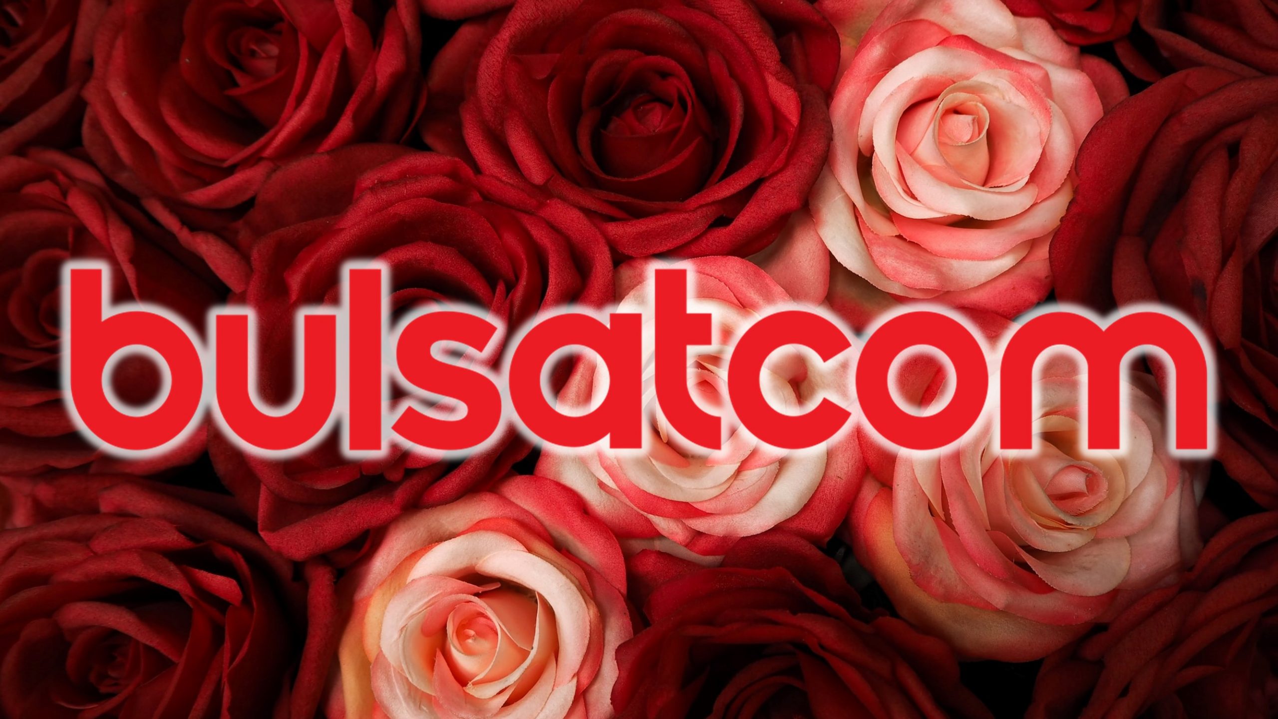 bulsatcom-war-of-roses-endgame