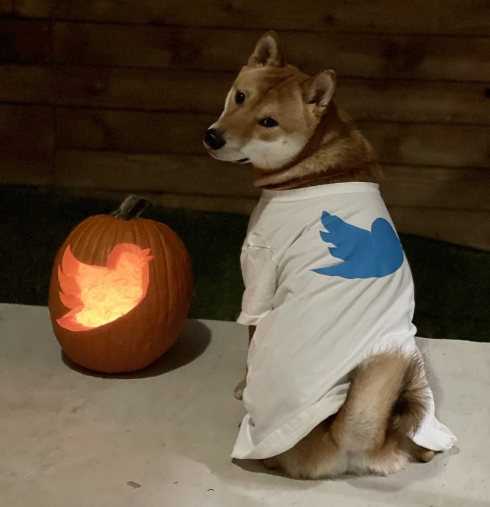 Elon-musk-twitter-dog