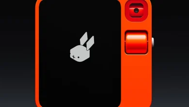 rabbit-r1