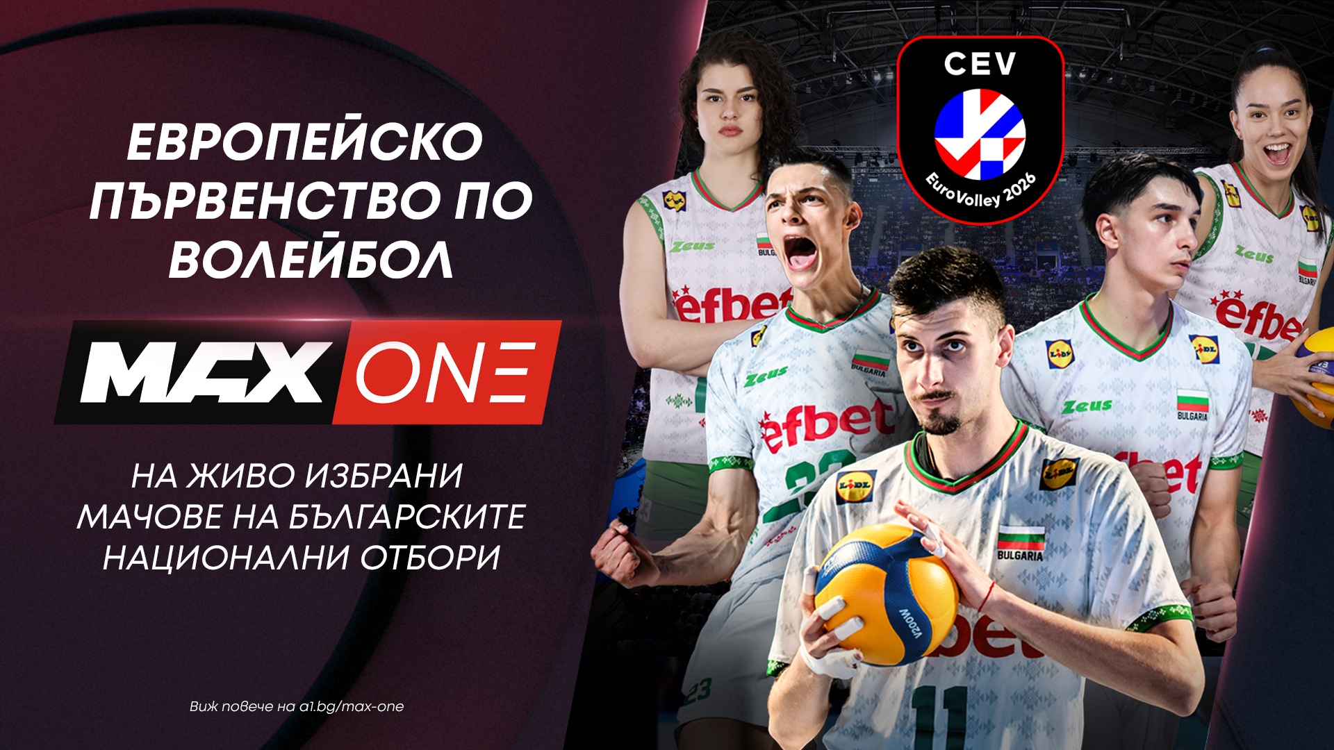 А1_MAX_One_Volleyball